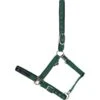 Catago Catago Attitude Halter - Green
