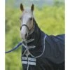 Amigo Stock Horse Hood 0g - Black/Silver -Horse Tack Supplies 423241 800 800