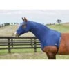 Weatherbeeta Stretch Hood With Zip - Navy -Horse Tack Supplies 430846 800 800