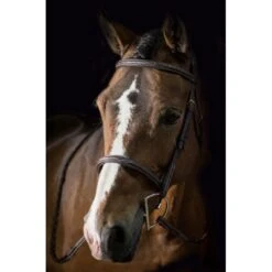 Pessoa PRO Fancy Stitched Raised Bridle - Dark Brown -Horse Tack Supplies 435220 800 800