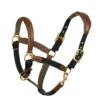 Ovation Luxor Cushion-Flex Halter - Brown/Black -Horse Tack Supplies 436538 800 800