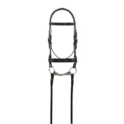 Aramas Plain Raised Padded 1in Wide Nose Dressage Bridle W/Leather Reins - Black/Black