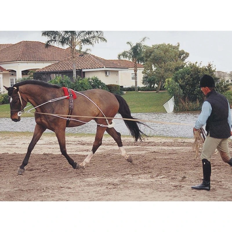 Pessoa Lunging System - Natural 3 Pessoa Lunging System - Natural