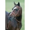 Pessoa Rodrigo Fancy Wide Show Bridle - Dark Brown 1 Pessoa Rodrigo Fancy Wide Show Bridle - Dark Brown -Horse Tack Supplies 439740 800 800