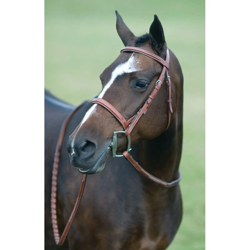Pessoa Rodrigo Fancy Wide Show Bridle - Dark Brown 3 Pessoa Rodrigo Fancy Wide Show Bridle - Dark Brown