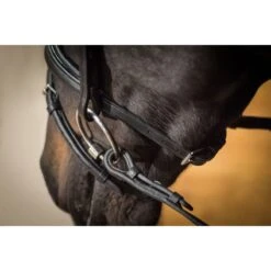 Ovation ATS Traditional Flash Dressage Bridle - Black -Horse Tack Supplies 439970 800 800