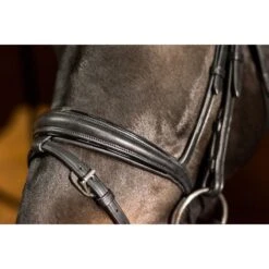 Ovation ATS Traditional Flash Dressage Bridle - Black -Horse Tack Supplies 439971 800 800