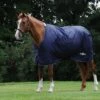 Saxon Defiant 600D Standard Neck Medium - Navy/White -Horse Tack Supplies 441491 800 800