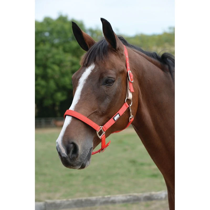 Roma Breakaway Halter II - Red 3 Roma Breakaway Halter II - Red