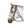 Kincade Chambon - Brown -Horse Tack Supplies 442724 800 800