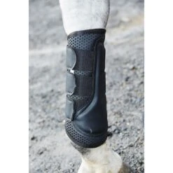 Weatherbeeta Exercise Boots - Black -Horse Tack Supplies 442782 800 800