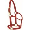 Western Rawhide Signature Classic Halter - Emerald Green -Horse Tack Supplies 445744 800 800