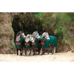 Rambo Original Turnout 400g - Green/Red -Horse Tack Supplies 446649 800 800