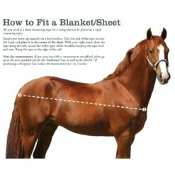 Kensington Protective Sheet SureFit - Kentucky Blue -Horse Tack Supplies 447027 800 800