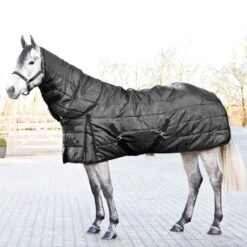 Horze Nevada Stable Blanket 200g - Black -Horse Tack Supplies 450278 800 800