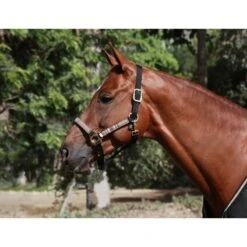 Kensington Premium Nylon Halter - Deluxe Black