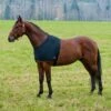 Horze Comforce Blanket Shoulder Guard - Black -Horse Tack Supplies 454040 800 800