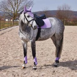 Horze Adepto Fetlock Boots - Languid Lavender Purple -Horse Tack Supplies 454416 800 800