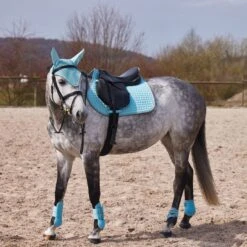 Horze Adepto Fetlock Boots - Canal Blue -Horse Tack Supplies 454586 800 800