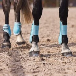 Horze Adepto Fetlock Boots - Canal Blue -Horse Tack Supplies 454587 800 800