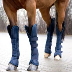 Horze Shipping Boots - Peacoat Dark Blue -Horse Tack Supplies 454723 800 800