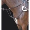Shires Rossano 5-Point Breastplate - Havana -Horse Tack Supplies 469782 800 800