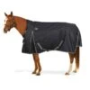Ovation 1200D Turnout 200g - Charcoal/Purple Secret Garden -Horse Tack Supplies 470562 800 800