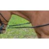 Shires Avignon Leather & Elastic Side Reins - Black 1 Shires Avignon Leather & Elastic Side Reins - Black -Horse Tack Supplies 472702 800 800