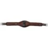 Flex Rider AP Comfort Flo Girth W/Memory Foam & Cool Max Plus Caribiner - Chocolate -Horse Tack Supplies 472852 800 800