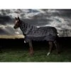 Amigo Bravo 12 Reflectech Plus Lite Turnout - Grey/Reflective & Black 1 Amigo Bravo 12 Reflectech Plus Lite Turnout - Grey/Reflective & Black -Horse Tack Supplies 474130 800 800