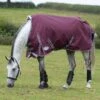 Weatherbeeta Comfitec Plus Dynamic II Standard Neck Medium/Lite - Maroon/Grey/White -Horse Tack Supplies 474161 800 800