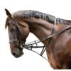 Kincade Web Market Harborough/German Martingale - Black -Horse Tack Supplies 474407 800 800