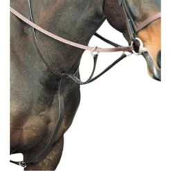Kincade Flat Running Martingale - Brown