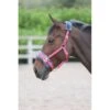 Shires Fleece Lined Lunge Cavesson - Pink -Horse Tack Supplies 474982 800 800