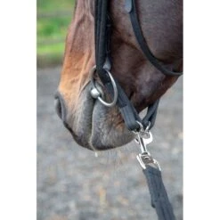 Shires Lunging Adapter - Black -Horse Tack Supplies 474987 800 800