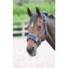 Shires Fleece Lined Lunge Cavesson - Navy -Horse Tack Supplies 474995 800 800