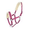 Horze Lunging Cavesson - Raspberry Pink -Horse Tack Supplies 479600 800 800