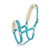 Horze Lunging Cavesson - True Blue -Horse Tack Supplies 479755 800 800
