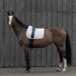 Horze Vaulting Surcingle - Black -Horse Tack Supplies 480027 800 800