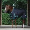 Weatherbeeta Green-Tec Stable Standard Neck Medium/Lite - Black/Bottle Green -Horse Tack Supplies 482461 800 800