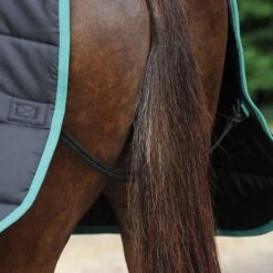 Weatherbeeta Green-Tec Stable Standard Neck Medium/Lite - Black/Bottle Green -Horse Tack Supplies 482466 800 800