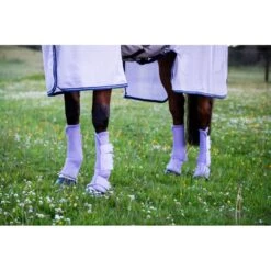 Amigo Flyboots - Lavender -Horse Tack Supplies 484951 800 800