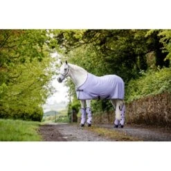Amigo Ripstop Travel Boots - Lavender/Plum/Silver -Horse Tack Supplies 485027 800 800