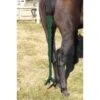 Centaur Spandex Braid-n-Tail Bag - Hunter Green -Horse Tack Supplies 487243 800 800
