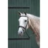 Collegiate Essential Padded Raised Flash Bridle - Brown -Horse Tack Supplies 487662 800 800