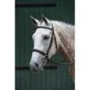 Collegiate Essential Padded Raised Fancy Stitched Cavesson Bridle - Brown -Horse Tack Supplies 487735 800 800