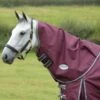 Weatherbeeta Comfitec Plus Dynamic II Neck Rug Medium/Lite - Maroon/Grey/White 1 Weatherbeeta Comfitec Plus Dynamic II Neck Rug Medium/Lite - Maroon/Grey/White -Horse Tack Supplies 493766 800 800