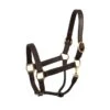 Perri's Heavy Weight Leather Track Halter - Havana -Horse Tack Supplies 500277 800 800