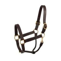 Perri's Heavy Weight Leather Track Halter - Havana