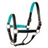 Perri's 1" Padded Leather Halter - Black/Turquoise -Horse Tack Supplies 500338 800 800